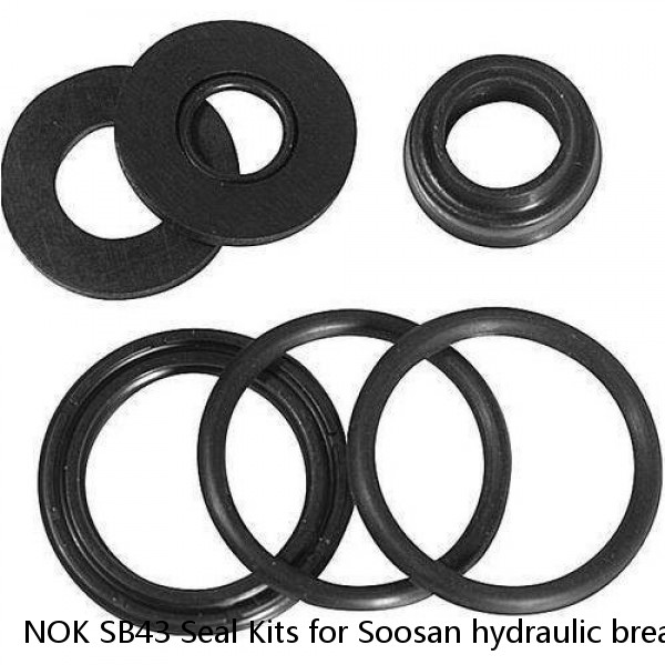 NOK SB43 Seal Kits for Soosan hydraulic breaker #1 small image