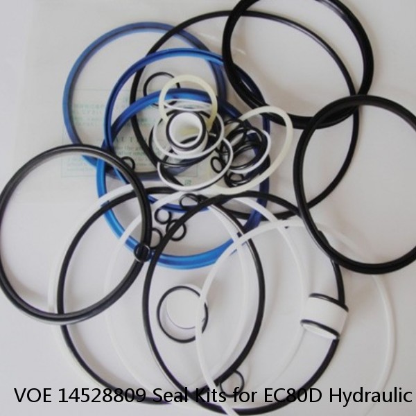 VOE 14528809 Seal Kits for EC80D Hydraulic Cylindert #1 image